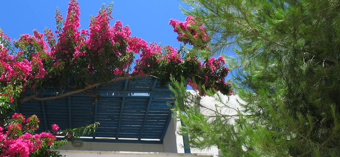 Despina and John Apartments on Naxos Island Greece